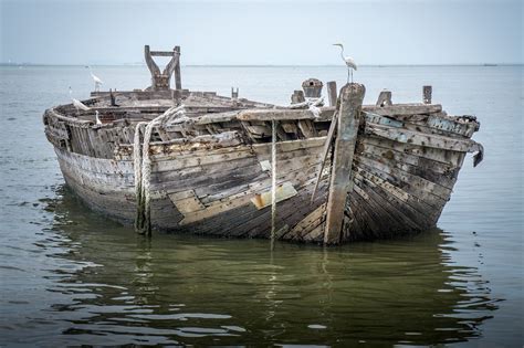 Il Paradosso Della Nave Di Teseo E La Mutabilit Dellidentit Fabio