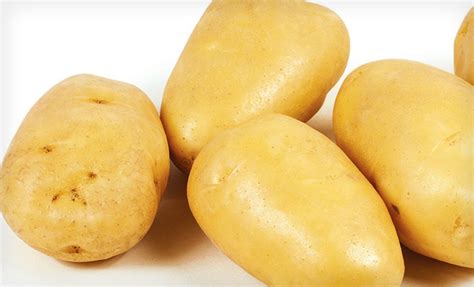 Сорт картофеля Зекура: краткое описание