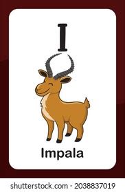 Animal Alphabet Flashcard Impala Stock Vector (Royalty Free) 2038837019 ...