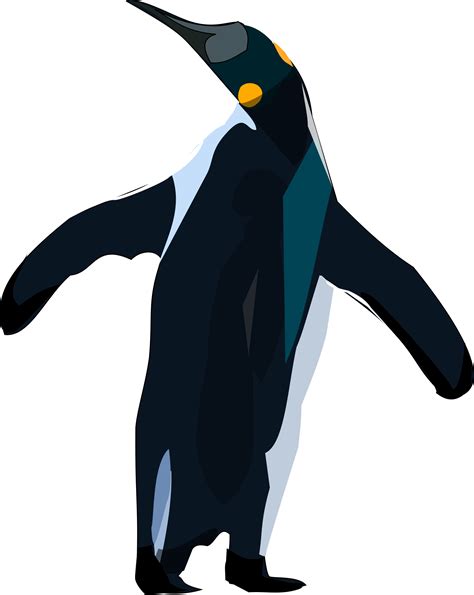 Clipart Pinguino