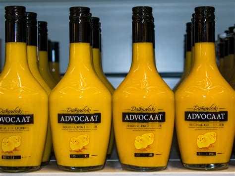 Advocaat | Local Cream Liqueur From Netherlands