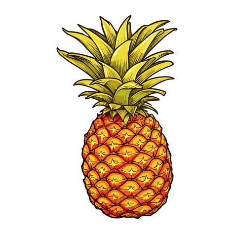 Pineapple Clipart Juicy Fruit Pineapple Illustration Summer Tropical
