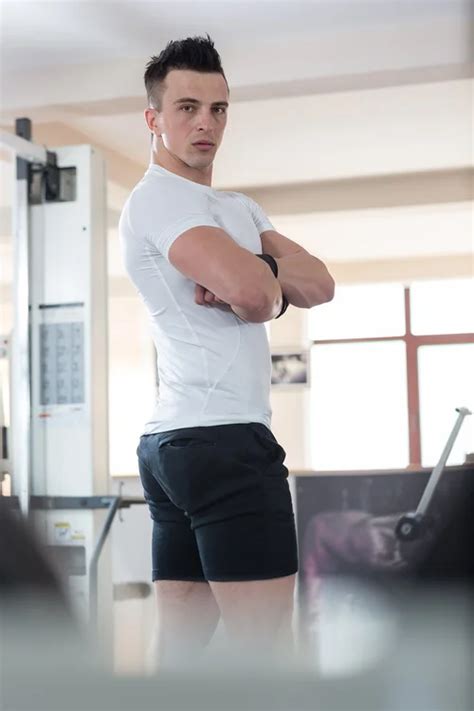 Explicación de la jerga gay popular inspirada en el reino animal Plaza Diversa