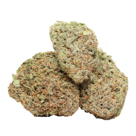 Buy Alaskan Thunder Fuck Weed Strain Online Thc Bulk Supplies