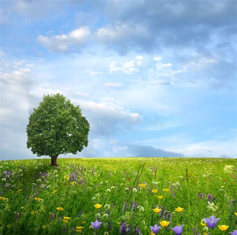 Mountain landscape stock photo. Image of cloud, beautiful - 20112628