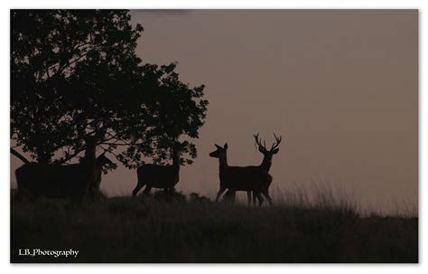 Local residents are watching the for sale Gloucestershire market closely 13