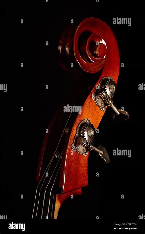 Upright Bass Hi Res Stock Photography And Images Alamy