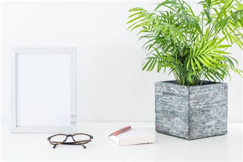 Frame And Plant Styled Stock Free Styled Stock Photography