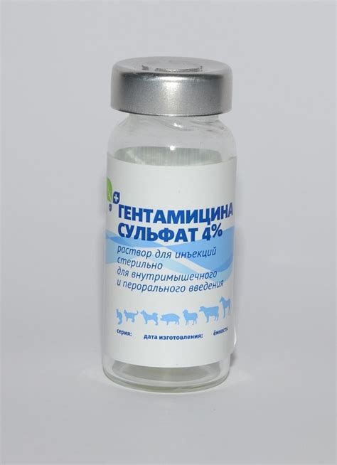 Гентамицин Гентамицин Инструкция - accusedowntown