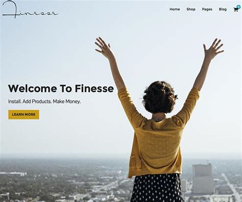finesse  organized themes wordpress woocommerce theme