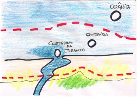 Posição da ilha em relação à costa e ao sistema de rios influencia