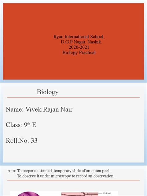 Ryan International School Pdf