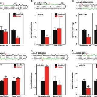 Identification Of Edited Mature Mirnas Four Pri Mirna Structures And