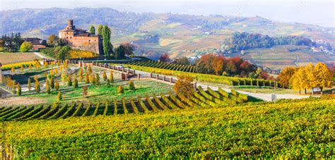 golden vineyards  medieval castles  piedmont famous wine region