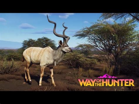 Kudu Wielkie 5 Way Of The Hunter 1 YouTube