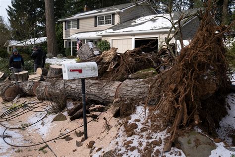 power failures  blackouts   york times