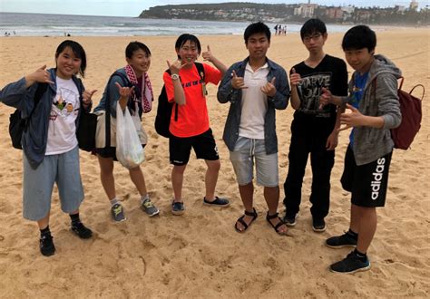 Sydney Surfing Harmony Lexis Juniors