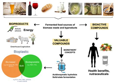 Fermentation Free Full Text Valorization Of Fermented Food Wastes