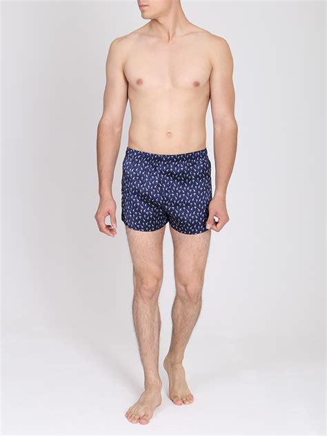 Мужские трусы (72 фото): какие виды трусов нужно носить мужчинам ...