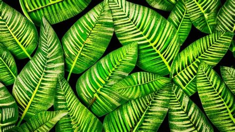 Premium Photo A Seamless Pattern Of Tropical Leaves