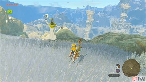 Electric Wizzrobe The Legend Of Zelda Tears Of The Kingdom Database