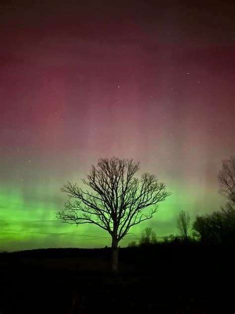 Discover More about the Lives of Beloved Kalamazoo Residents at Mlive. 1