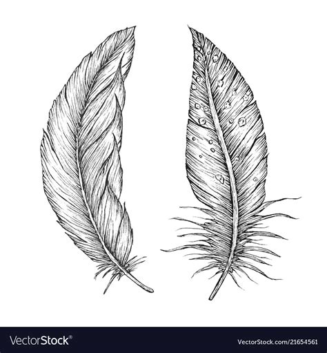 Перо рисунок карандашом для срисовки (много фото) - drawpics.ru