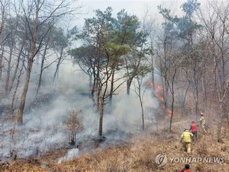 강원 영월서 산불1시간 30여분 만에 진화종합 파이낸셜뉴스