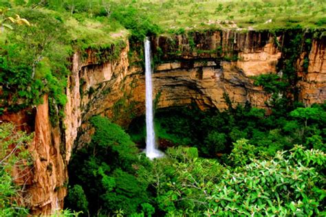 Reservas ecológicas no Brasil conheça 13 parques de preservação