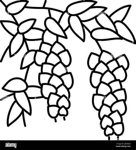 Wisteria Liana Line Icon Vector Illustration Stock Vector Image And Art