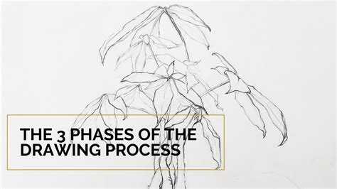 The 3 Phases Of The Drawing Process - Cura Studios