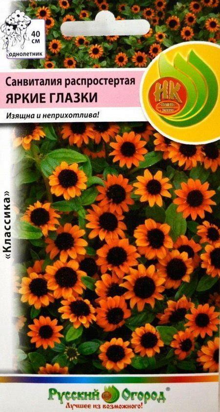 Купить семена Санвиталия Яркие Глазки в магазине Первые Семена по цене ...