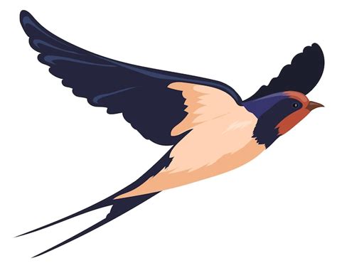 Swallow bird Vectors & Illustrations for Free Download | Freepik