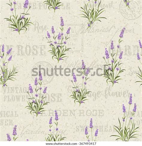 Lavender Seamless Frame Line Stock Vector Royalty Free