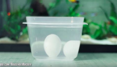 These 14 Egg Tricks Will Change Your Breakfast Game!! - Wise DIY | Wise DIY