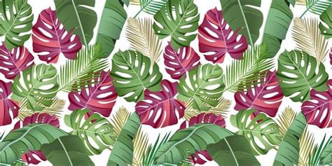 Seamless Pattern With Tropical Leaves Palms Monstera Banana Leaves