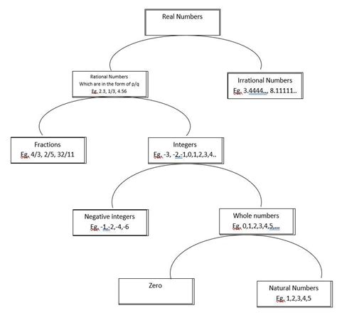 Real Numbers Flowchart