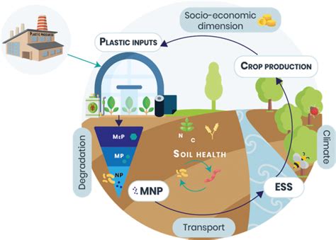 Microplastics And Nanoplastics In Soil Interactions With Soil