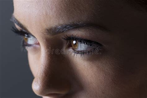 Elegance In Curves Brunette Beauty Graces Studio Space With Style Stock Photo Image Of