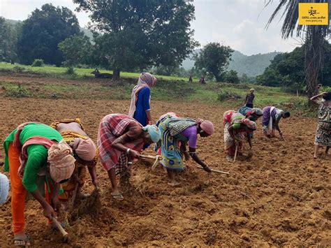 40 women converted 3-acres of land into their very own kitchen garden ...