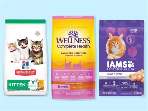 The Best Dry Cat Foods Of 2024 Reviewed With Advice From Vets