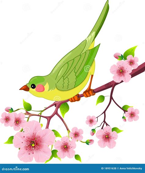 Spring Bird Stock Vector Illustration Of Plant Apple