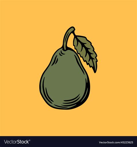 Avocado logo Royalty Free Vector Image - VectorStock