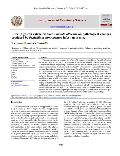 PDF Effect β glucan extracted from Candida albicans on pathological