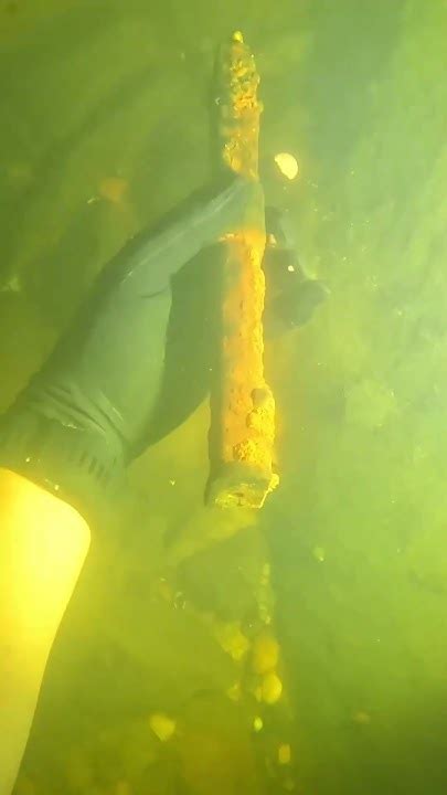 ЧТО ТАМ ПОД ВОДОЙ?😮😮😮 - YouTube