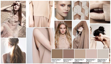 Nude Brown Tan Color And Mood Board With Pantone Swatches Color