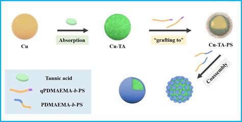 Polymers Free Full Text Synthesis Of Polymer Brushes On Tannic Acid