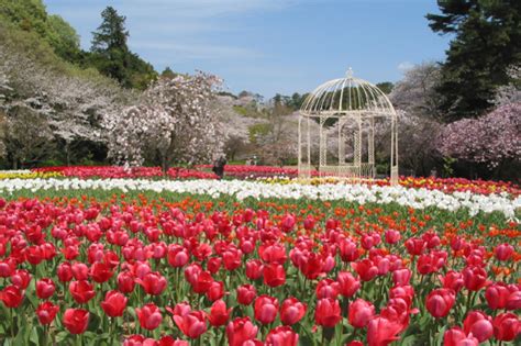 Hamamatsu Flower Park | iN HAMAMATSU.COM