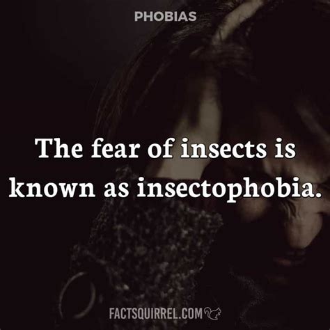 The Fear Of Insects Is Known As Insectophobia Factsquirrel