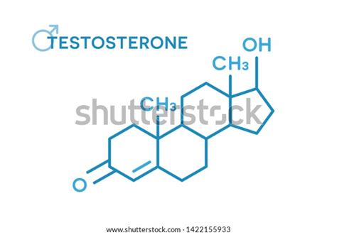 Testosterone Hormones Molecular Formula Sex Hormone Stock Vector